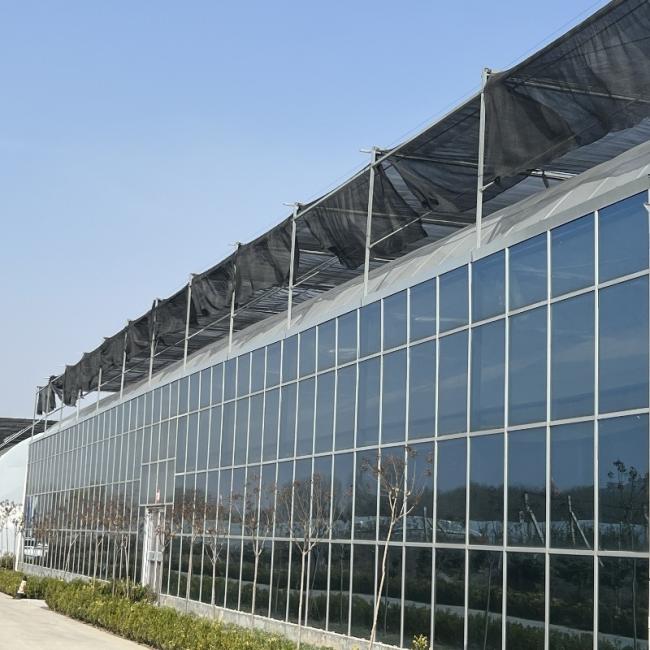 a Type Roof Glass Greenhouse Hydroponics System for Flowers