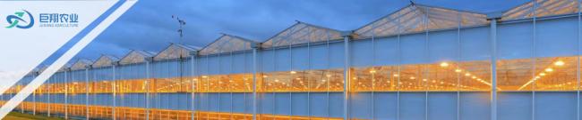 Greenhouse Hydroponic System for Large-Scale Farming