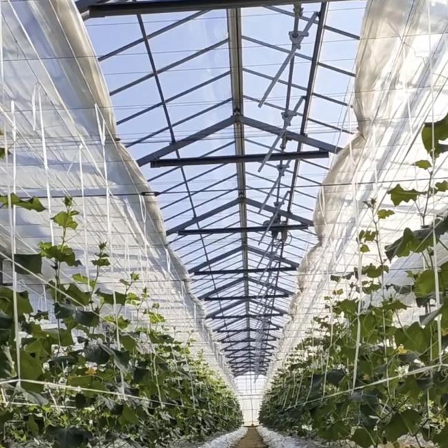 Float Single Layer Hollow Glass Greenhouse Hydroponics