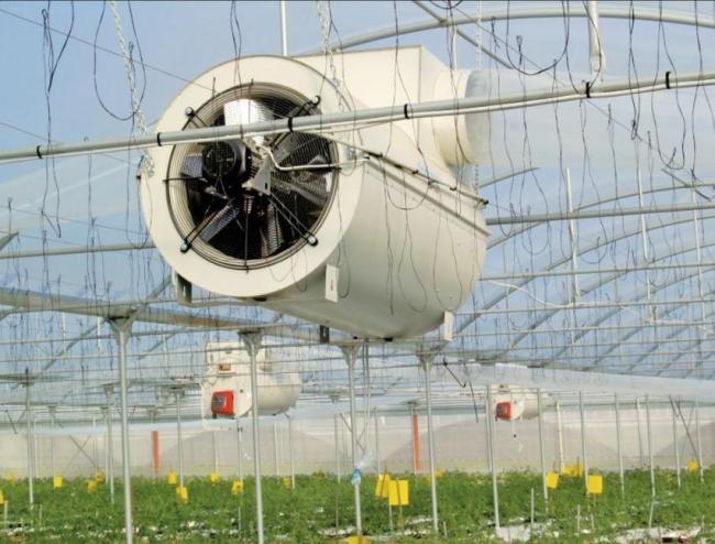 Plastic Film Structure for Hydroponic Seedlings Greenhouse