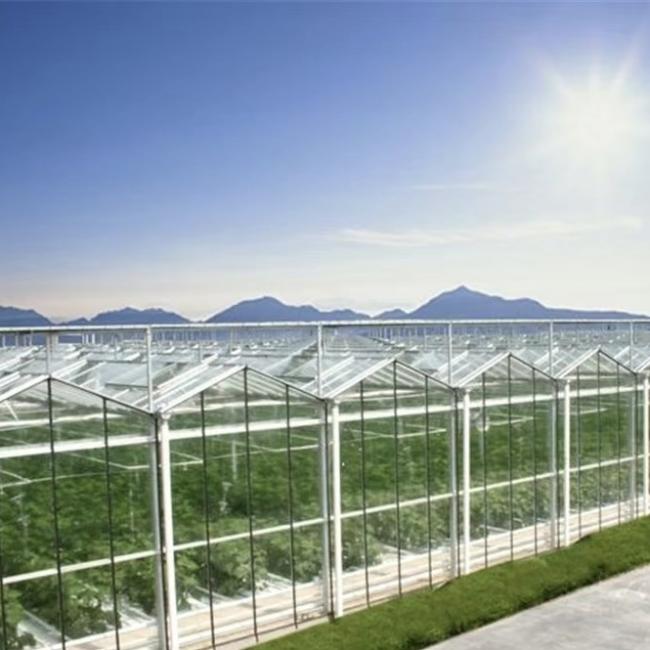 Shading Screen System Glass Greenhouse