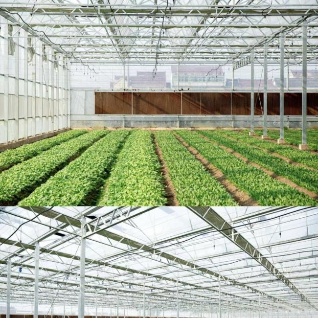 Good Light Transmission Glass Greenhouse Canopy