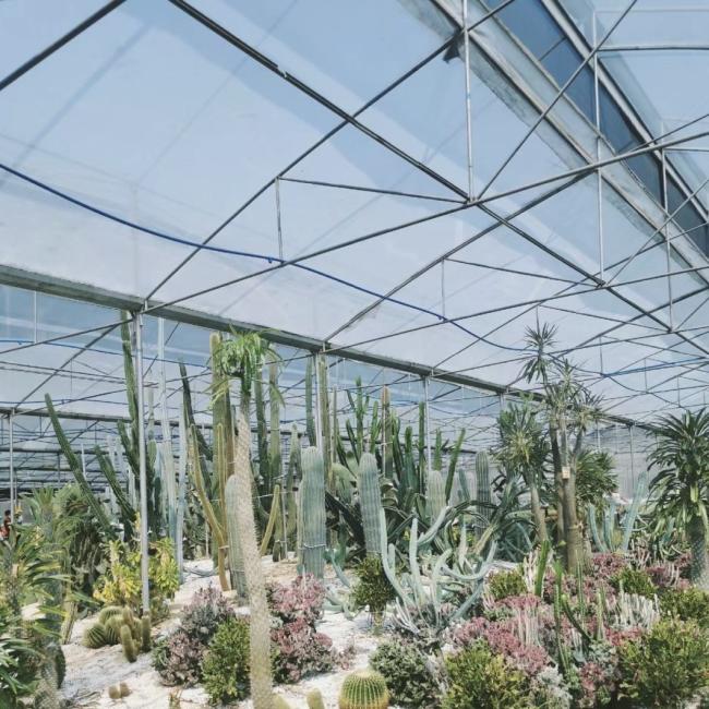 High Light Transmission Glass Greenhouse Hydroponic Setup