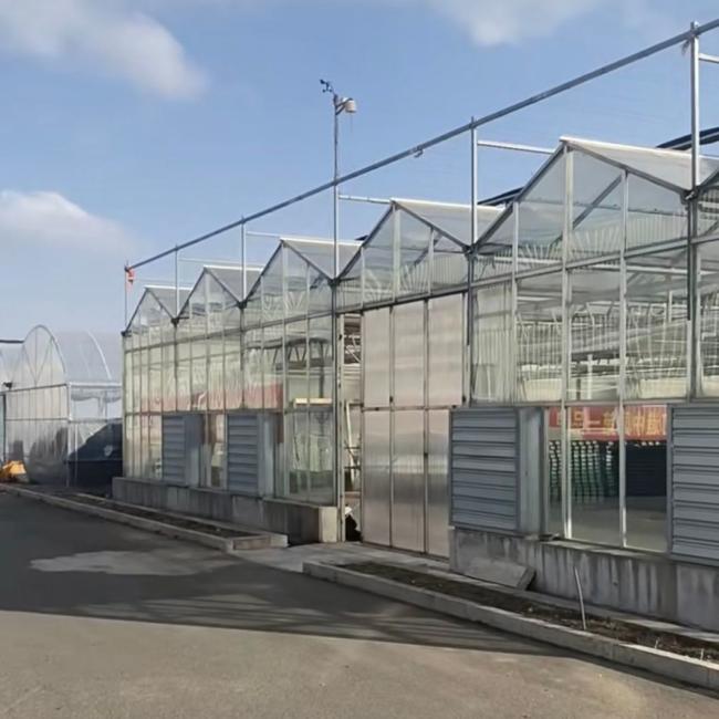 Reasonably Priced Glass Greenhouse for Vegetable Farming