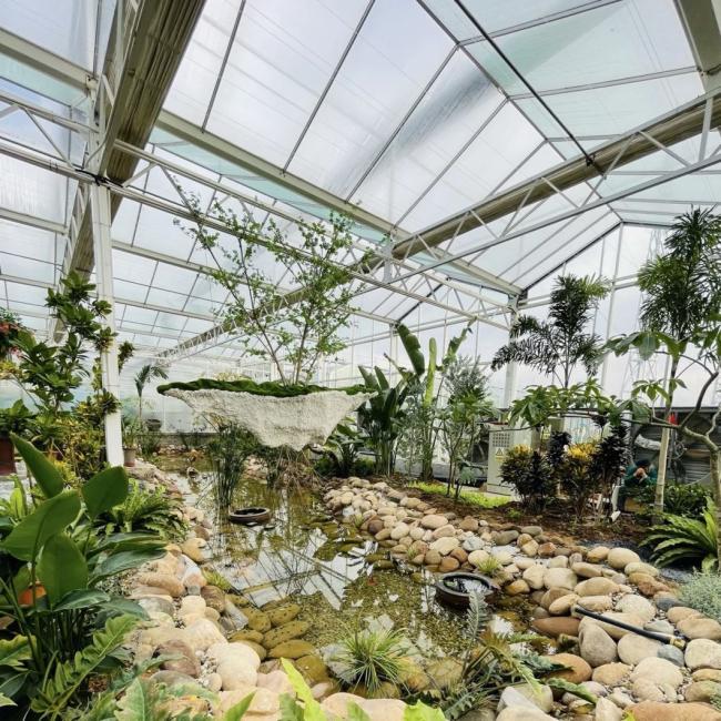 Shading Screen Glass Greenhouse for Hydroponic Vegetables