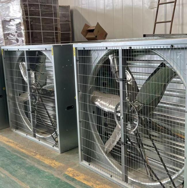 Float Single Layer Glass Greenhouse Hydroponic System