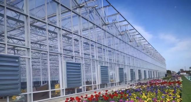 Float Single Span Greenhouse for Vegetables/Fruits/Flowers