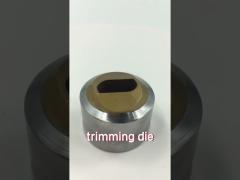 Customized Trimming Dies Special Shaped CVD Coating ISO 9001 Standard