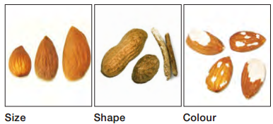 size color sorting
