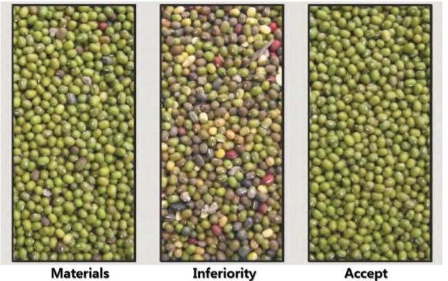 beans color sorter machine