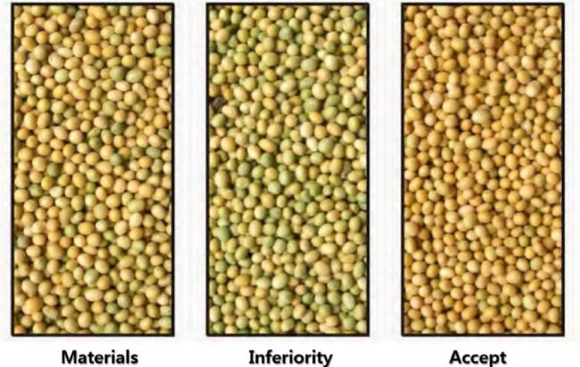 soybean sorting
