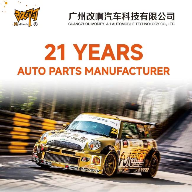 EDDYSTAR Sport Short Spring for LEXUS - Product View 1