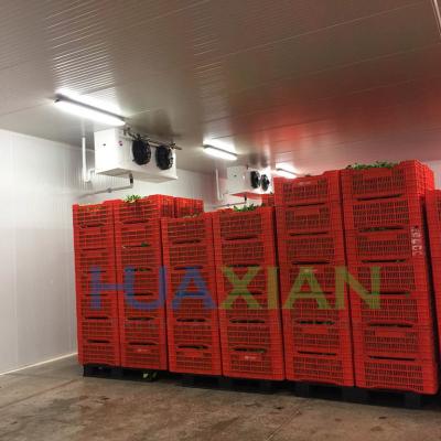 China Industrial Blast Cooling Refrigeration Condenser Unit System Modular Walk in Freezer Room for sale