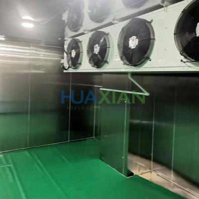 China Chiller Refrigeration Refrigerator Parts Freezer Equipment Type Meat Cold Storage Room for sale