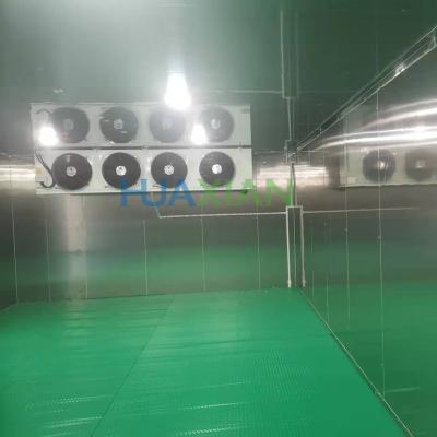China High Quality Stainless Steel Insulation Sandwich Panel Refrigeration/Walk in Freezer/Cool Room/Cold Sto for sale