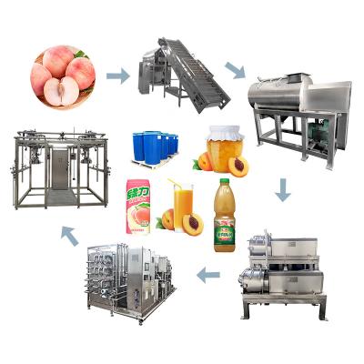 China SS 304 380V 220V Fruit Juice 5 T/Day Peach Processing Plant for sale