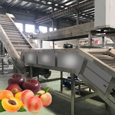 China Multiple Use Safety Peach Processing Plant High Extracting Rate 1000 T/Day for sale