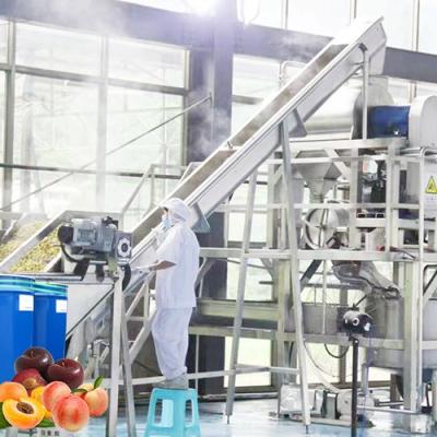 China Professional Peach Processing Plant Plum Concentration Processing Line for sale