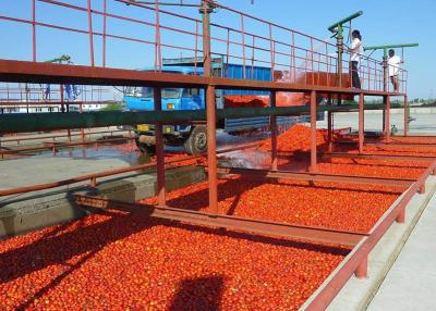 Chine Chaîne de fabrication de tomate de rendement élevé/chaîne de production sauce tomate à vendre