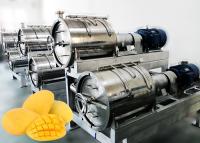 China Automatic 20T/H Mango Processing Line Food Grade Aseptic Filling for sale
