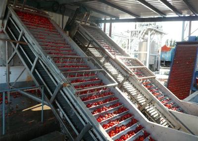 China Strawberry Blueberry  Berry Processing Equipment / Juice Production Machine for sale