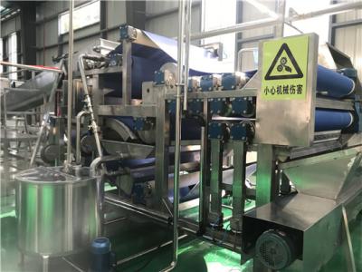 China 15T/Day SS304 concentró la piña Juice Production Line en venta