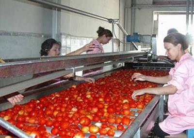 China Sus304 Tomato Processing Line Tomato Paste Making Machine 3 / 5 Tons Per Hour for sale
