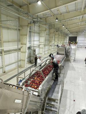 China Ss304 Apple Processing Line Automatic Fruit Juice Making Machine 380V for sale