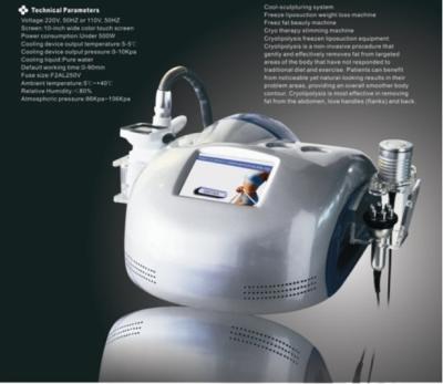 China Cryolipolysis Vacuum Cavitation RF Beauty Equipment, Body Slimming Machine for sale