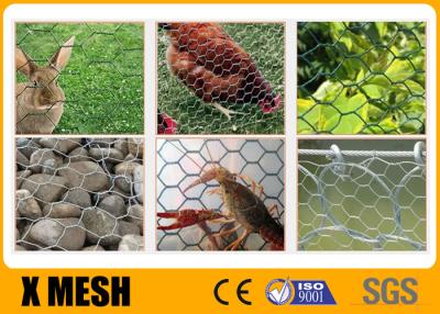 China Plain Weave Poultry Mesh Netting Chicken Wire Mesh Fence 1.5m X 25m for sale