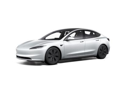 China Adultos Veículo Elétrico Pessoal Tesla Tesla 3 Sedan Carros EV de Nova Energia Pura à venda