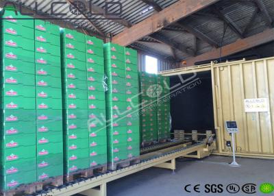 China Refrigerador del vacío de las verduras frescas en venta