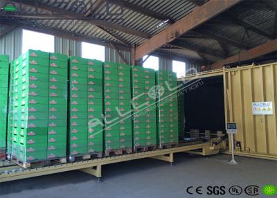 Chine 1 palette industrielle refroidissant pré le réfrigérateur 200V 60HZ 3P de vide de machine à vendre