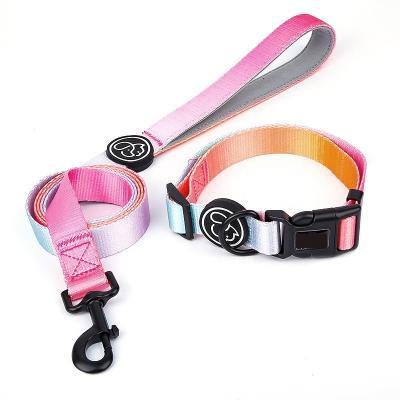 China Polyester cute dog leash and collar set Anti Break Metal Buckle Lable With Handle for sale