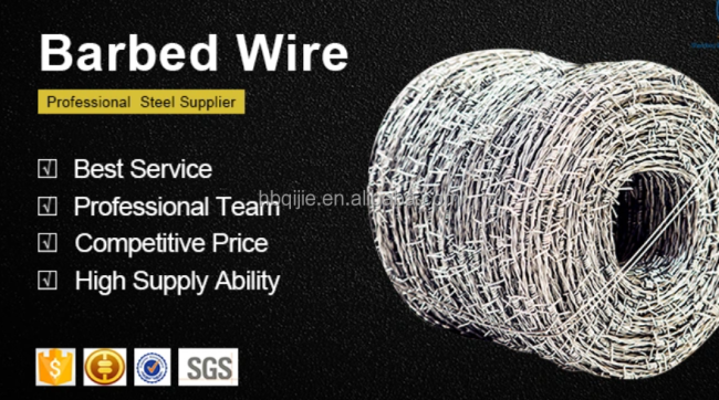 Hot DIP Galvanized 2 Strands 4 Points Barb Barbed Wire