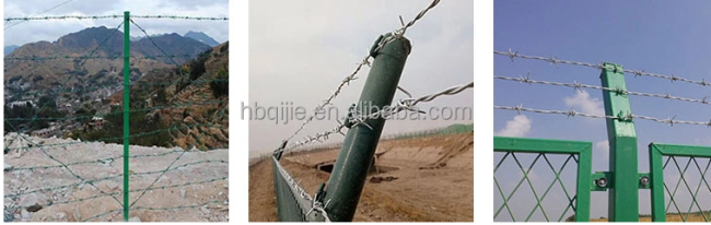 Hot DIP Galvanized 2 Strands 4 Points Barb Barbed Wire