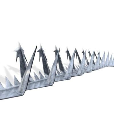 China 1m Length Large Sized 5m bird pigeon stainless steel wall fence spikes wall spikes for pidgins For Security for sale