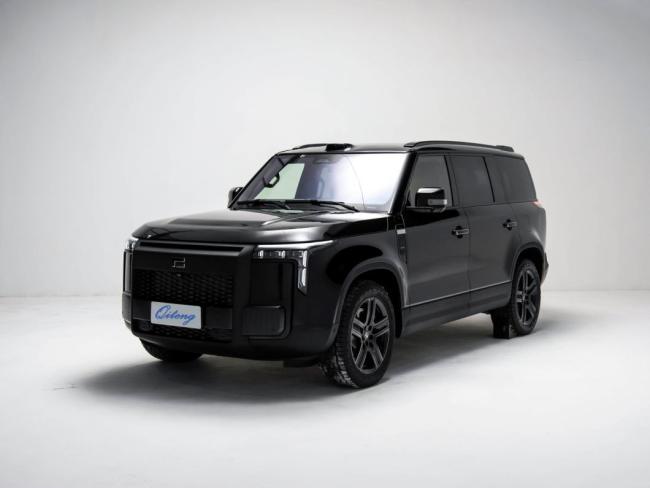 Electric Car New Ji Shi 01 7-Seater Version SUV Fast Delivery