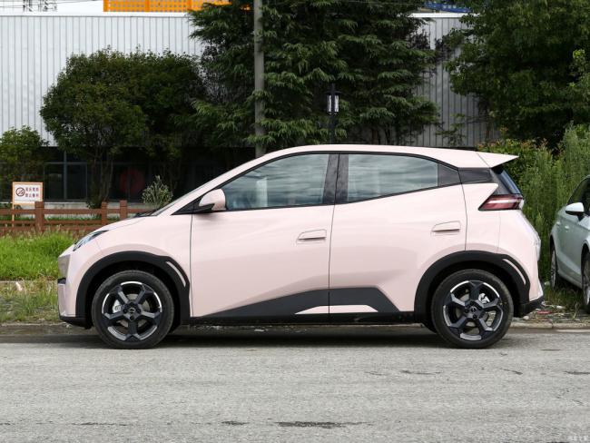 New Car Electric Car Electric Vehicle EV Byd Seagull 2023 Fly