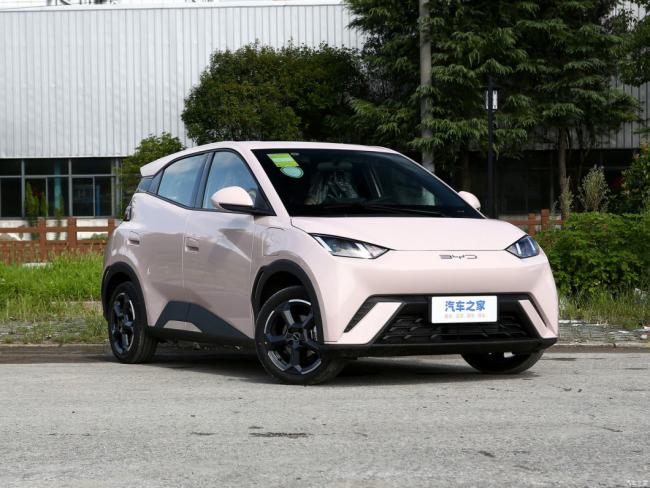 New Car Electric Car Electric Vehicle EV Byd Seagull 2023 Fly