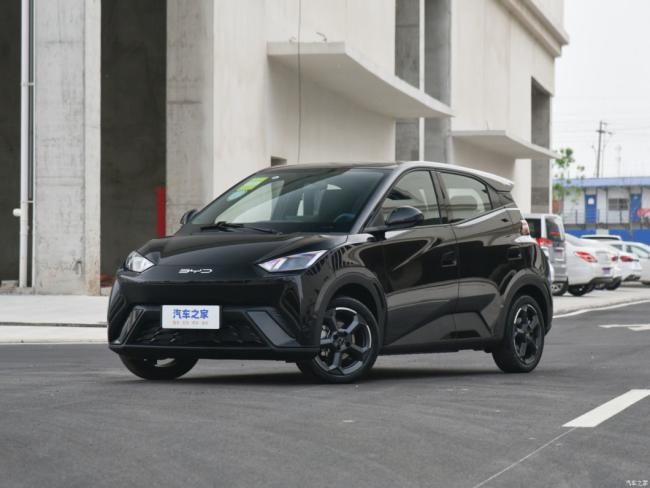 New Car Electric Car Electric Vehicle EV Byd Seagull 2023 Fly