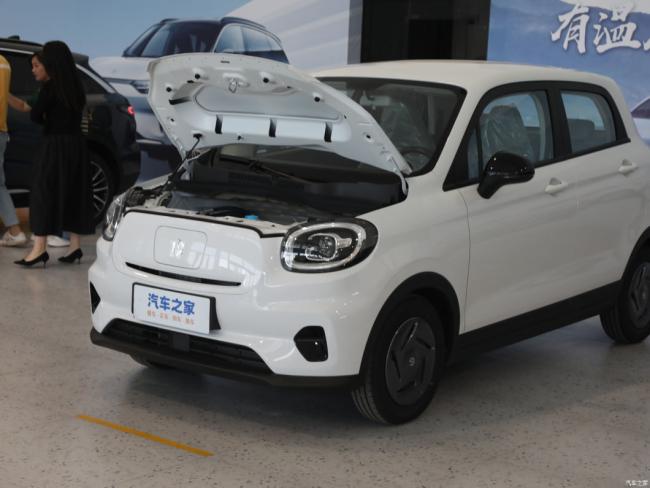 Microcar New Car Electric Car Electric Vehicle EV Leap T03 2023 200 Qingxiang