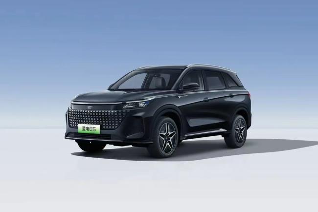Landian E5 2024 Honor Edition 100km Luxury 5-Seater