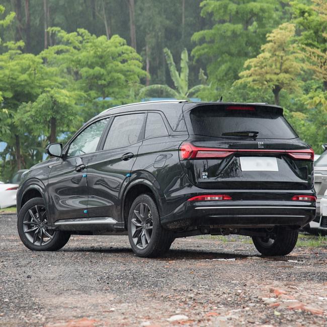 Landian New Energy Car Plug-in-Hybrid SUV 2024 E5 Glory Edition 100km Prestige 5/7 Seats Electric Car