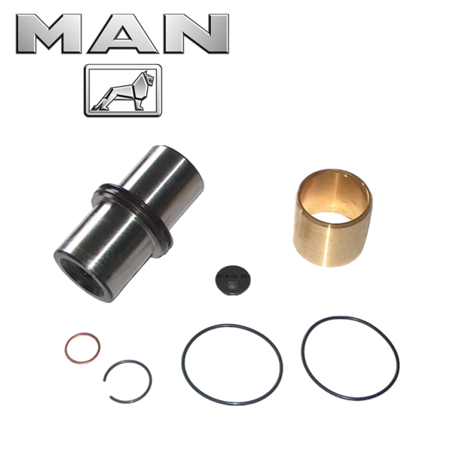 Steering Parts King Pin Kit Steering Knuckle A3913300019 Repair Kit King Pin Set