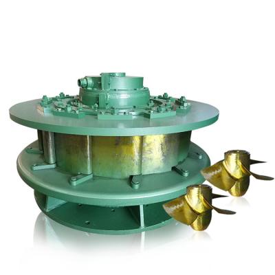 China Mini turbina hidráulica de HPP Kaplan para el generador de turbina de la central hidroeléctrica 300kw Kaplan en venta