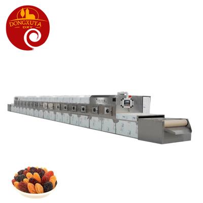 Chine High Efficiency Low Cost Reasonable Price Fruit Nuts Pistachios Raisin Microwave Microwave Drying Baking Machine à vendre