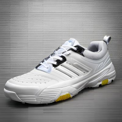 China Zapatos de golf personalizados resistentes al desgaste Protección de pies Cuero de microfibra en venta