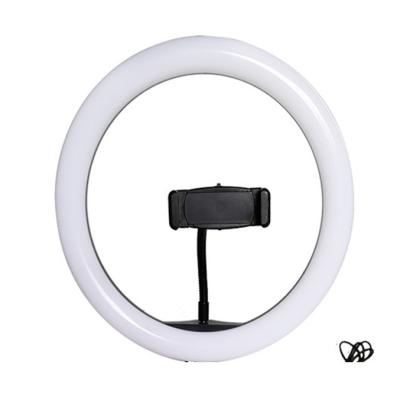 China 10 inch selfie ring light camera photograph lamp with smartphone holder for sale