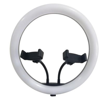 China 12 inch selfie ring light camera photograph lamp with mobile holder for sale